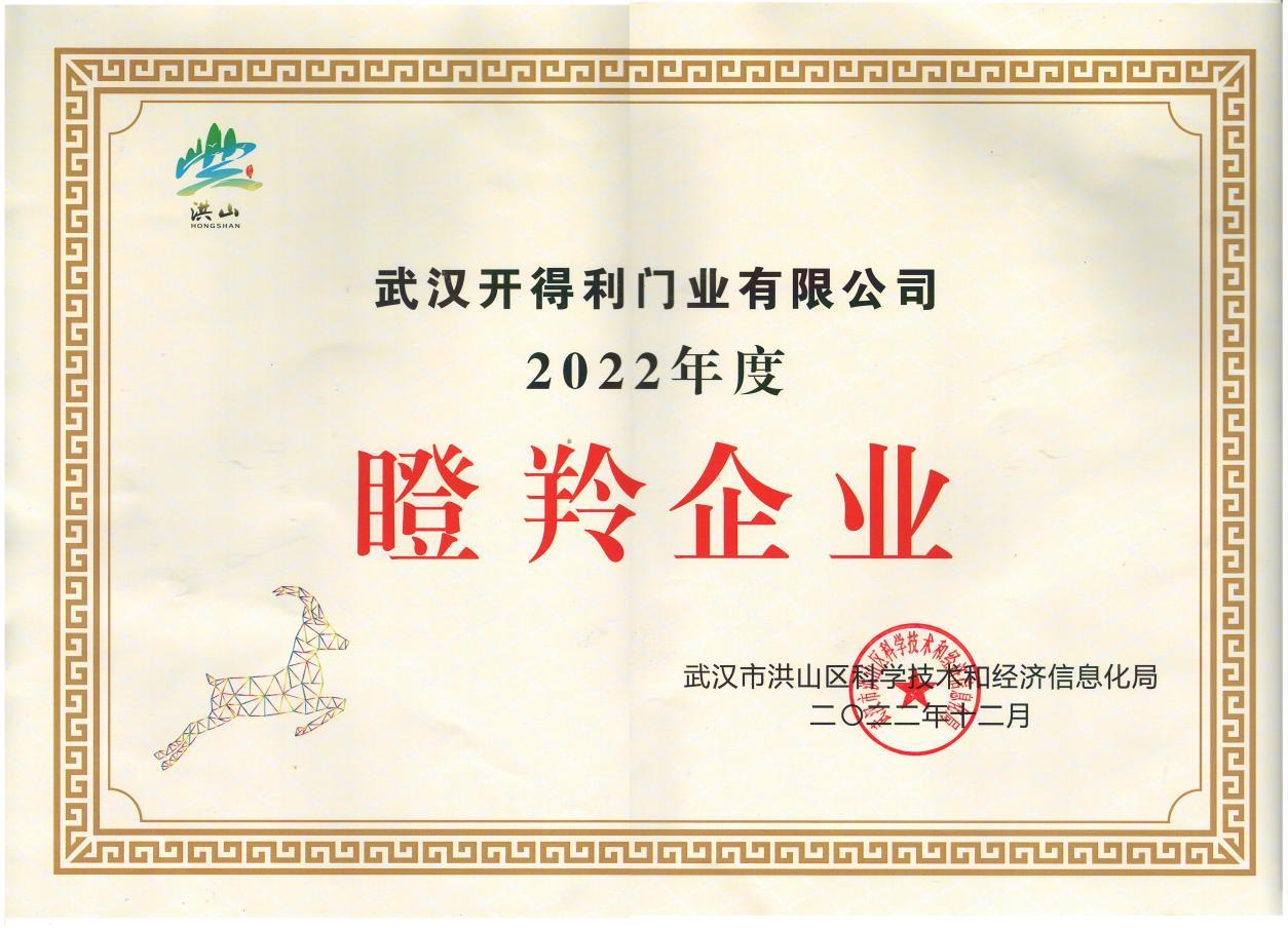 2022年度瞪羚企业